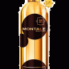 DARK AOUD